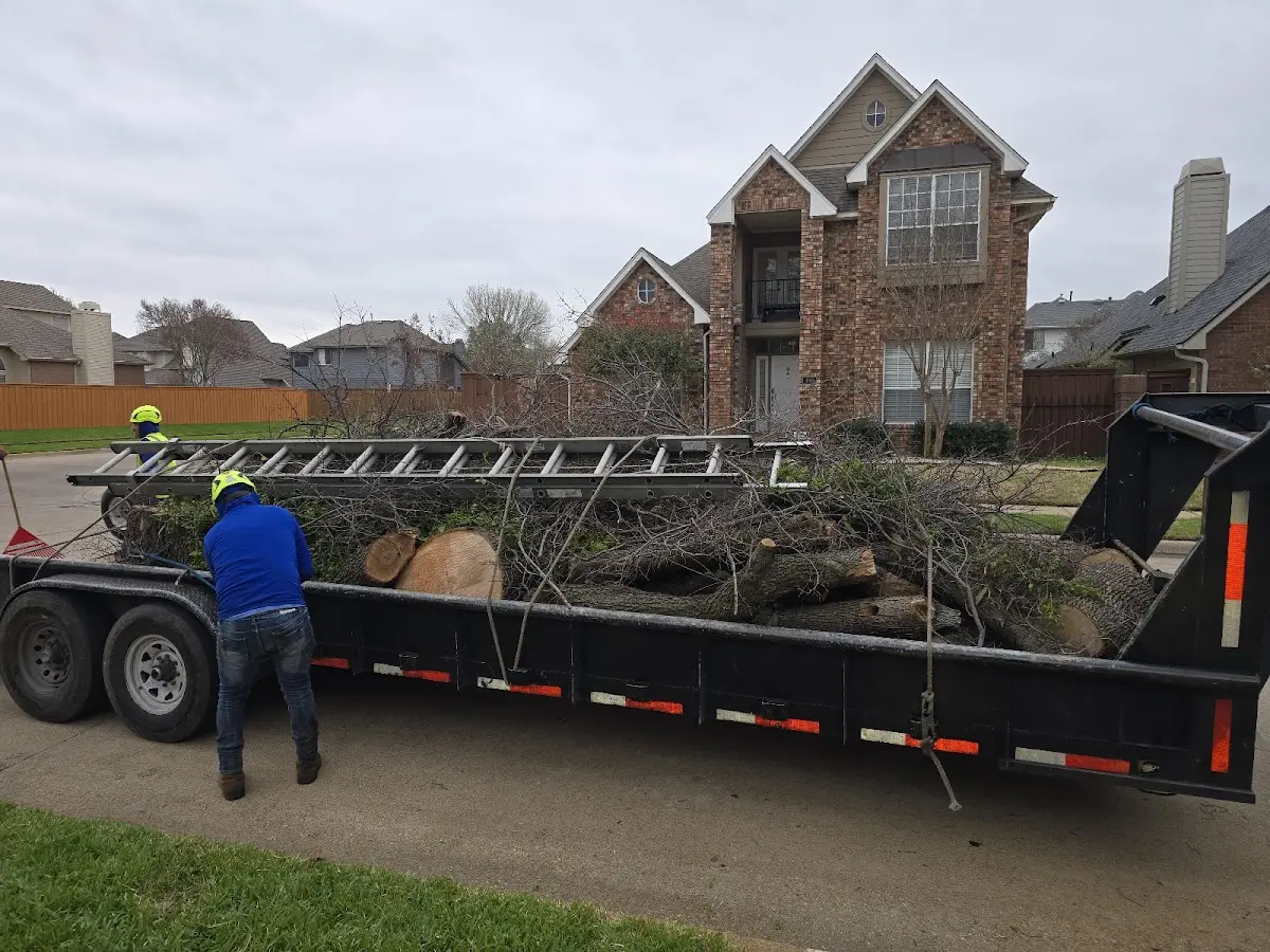 Expert Tree Fertilization with proper safety equipment in Roseburg